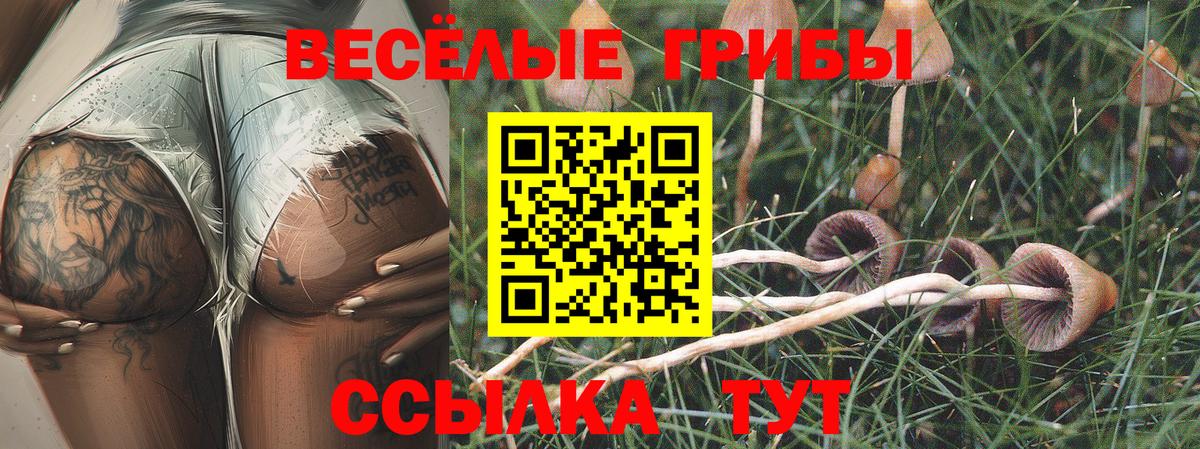 Галлюциногенные грибы прущие грибы Янаул