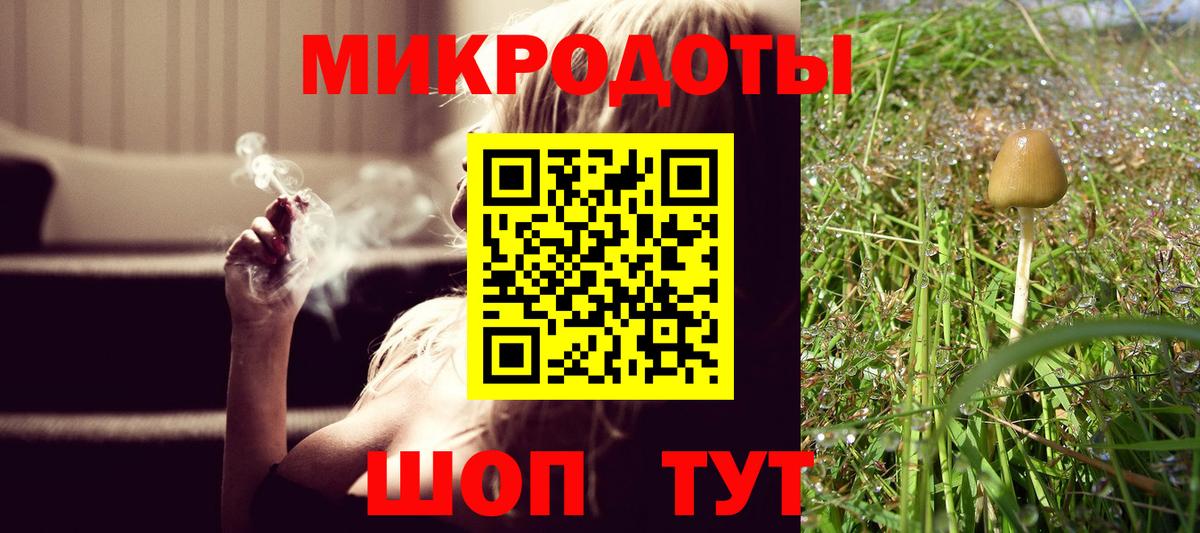 наркотики  Вход с VPN  Янаул  Псилоцибиновые грибы мицелий 